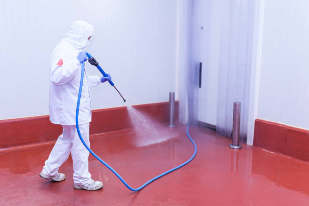 Best Warehouse Cleaning  in Harbison Nyon, CA