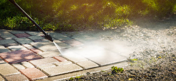 Best Driveway Pressure Washing  in Harbison Nyon, CA