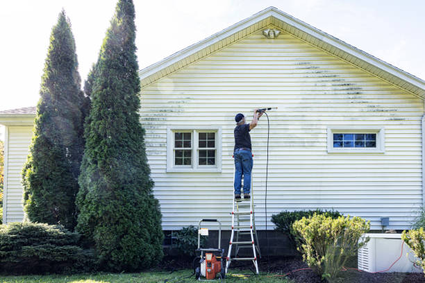 Best Gutter Cleaning  in Harbison Nyon, CA